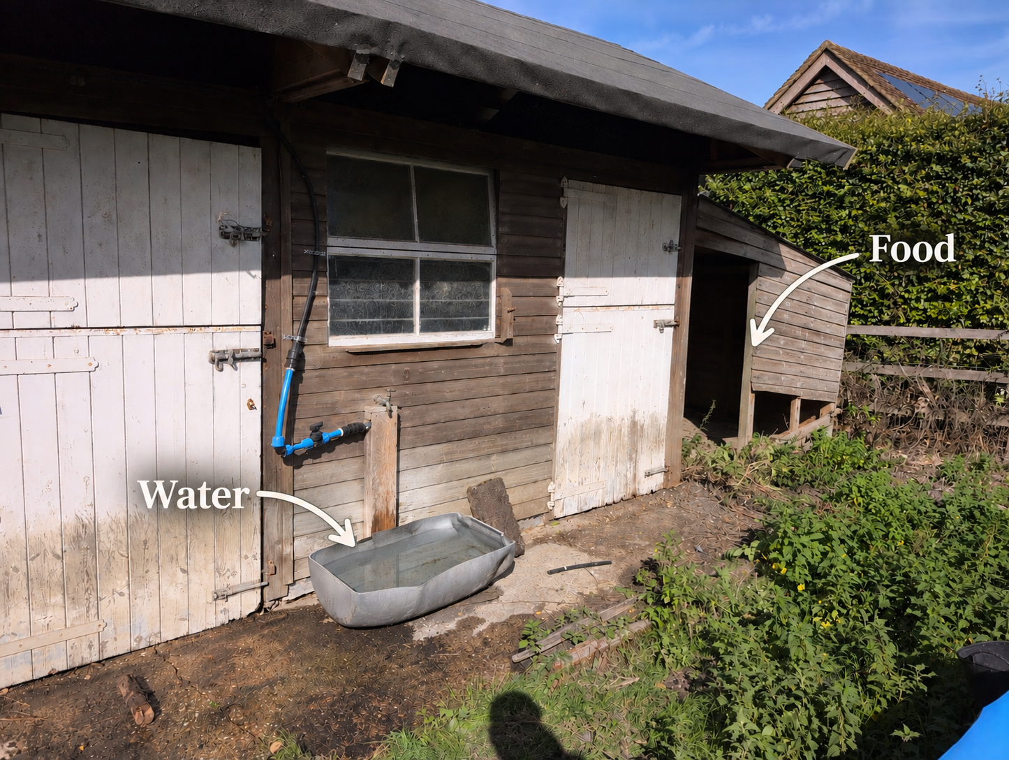 Outbuilding showing the locations of the sheep water and food